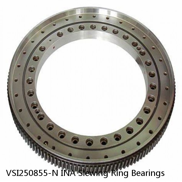 VSI250855-N INA Slewing Ring Bearings