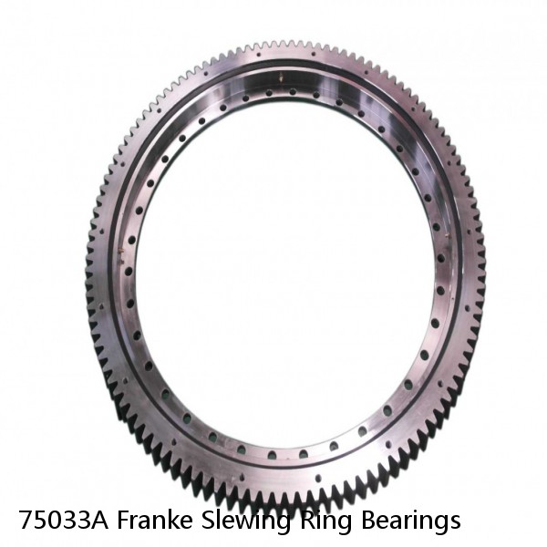 75033A Franke Slewing Ring Bearings