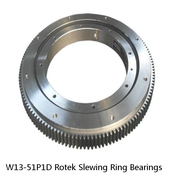W13-51P1D Rotek Slewing Ring Bearings