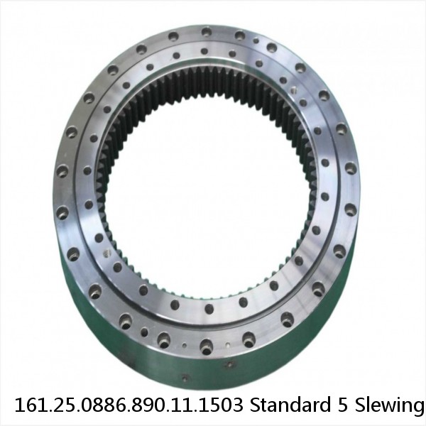 161.25.0886.890.11.1503 Standard 5 Slewing Ring Bearings #1 small image