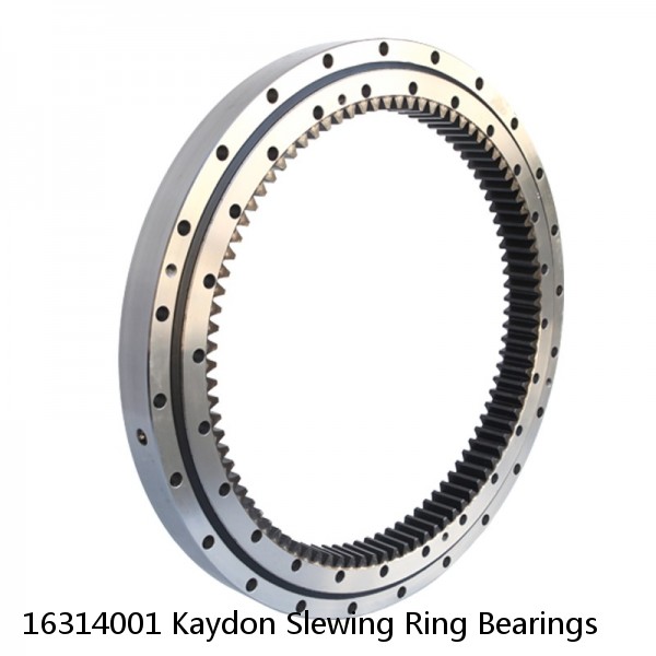 16314001 Kaydon Slewing Ring Bearings #1 small image