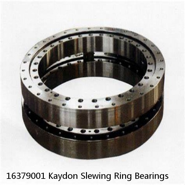 16379001 Kaydon Slewing Ring Bearings #1 small image