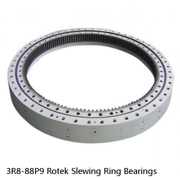 3R8-88P9 Rotek Slewing Ring Bearings #1 image
