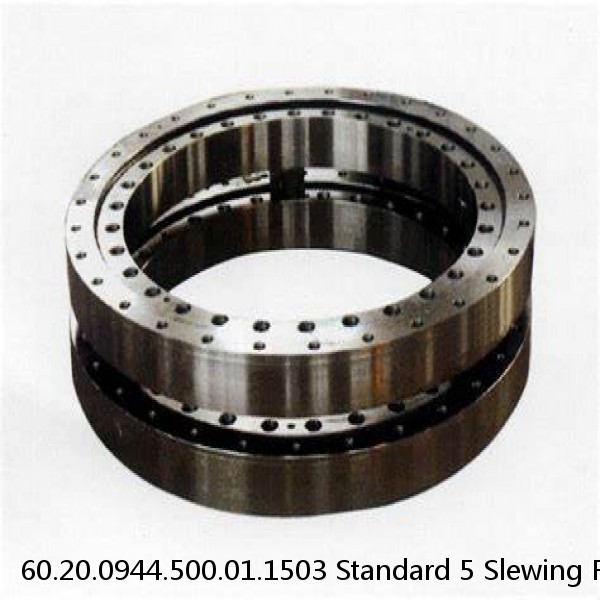 60.20.0944.500.01.1503 Standard 5 Slewing Ring Bearings #1 image