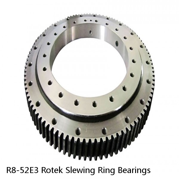 R8-52E3 Rotek Slewing Ring Bearings #1 image