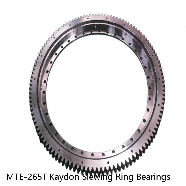 MTE-265T Kaydon Slewing Ring Bearings #1 image
