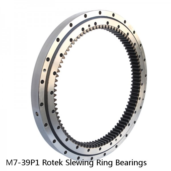 M7-39P1 Rotek Slewing Ring Bearings #1 image