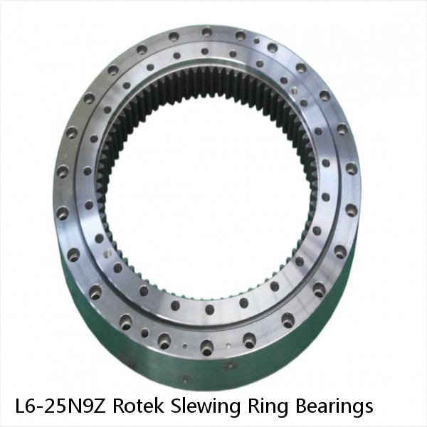 L6-25N9Z Rotek Slewing Ring Bearings #1 image