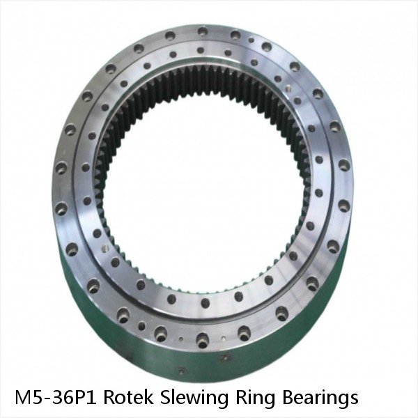 M5-36P1 Rotek Slewing Ring Bearings #1 image