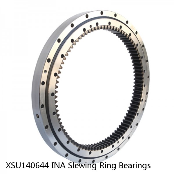 XSU140644 INA Slewing Ring Bearings #1 image